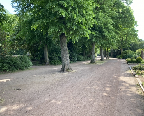 Eine Baumreihe entlang des Kreuzweges am Marienpark.