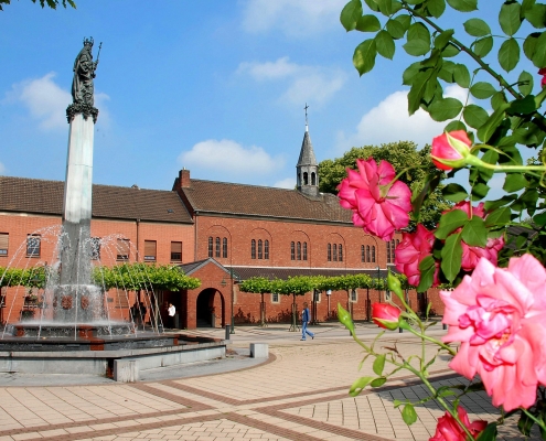 Rosen im Vordergrund und der Brunnen am St. Klara Platz im Hintergrund.